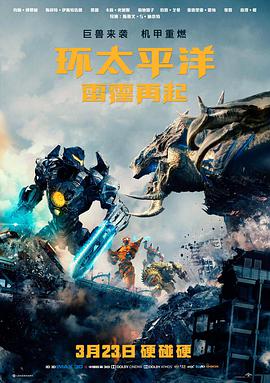 忍者之路剧场版